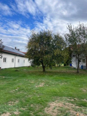 Chiemgau Spot: Wiese am Obstanger mit Bergblick