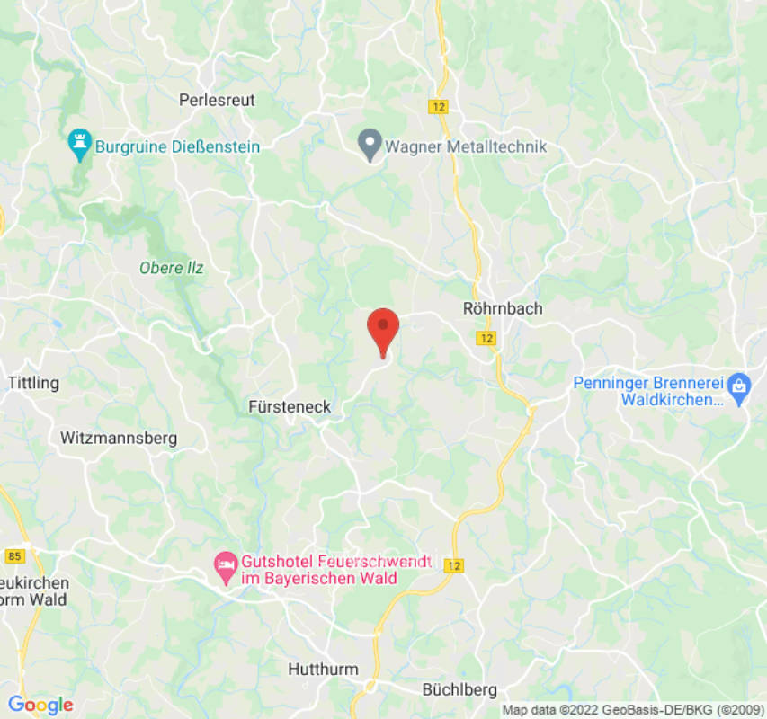 Grüne Wiese am Bachrand