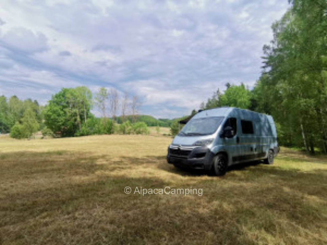 Natur genießen in der Gründleinswustung #3