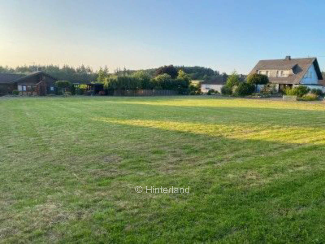 Wiese umgeben von Wäldern im nördlichen Hunsrück