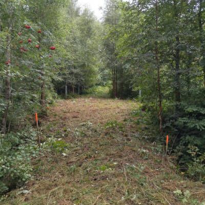Platztyp für 4 Personen (Campspace 23490)