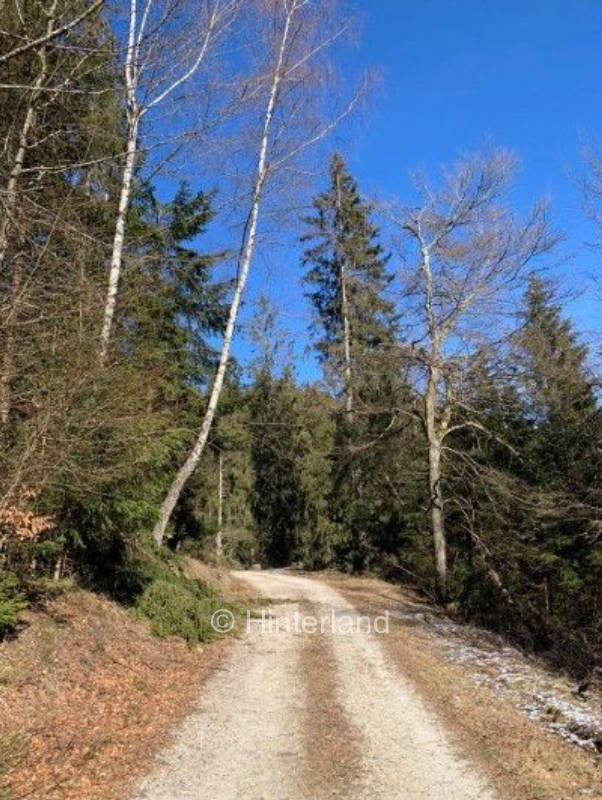 National park view and e-bikes for rent