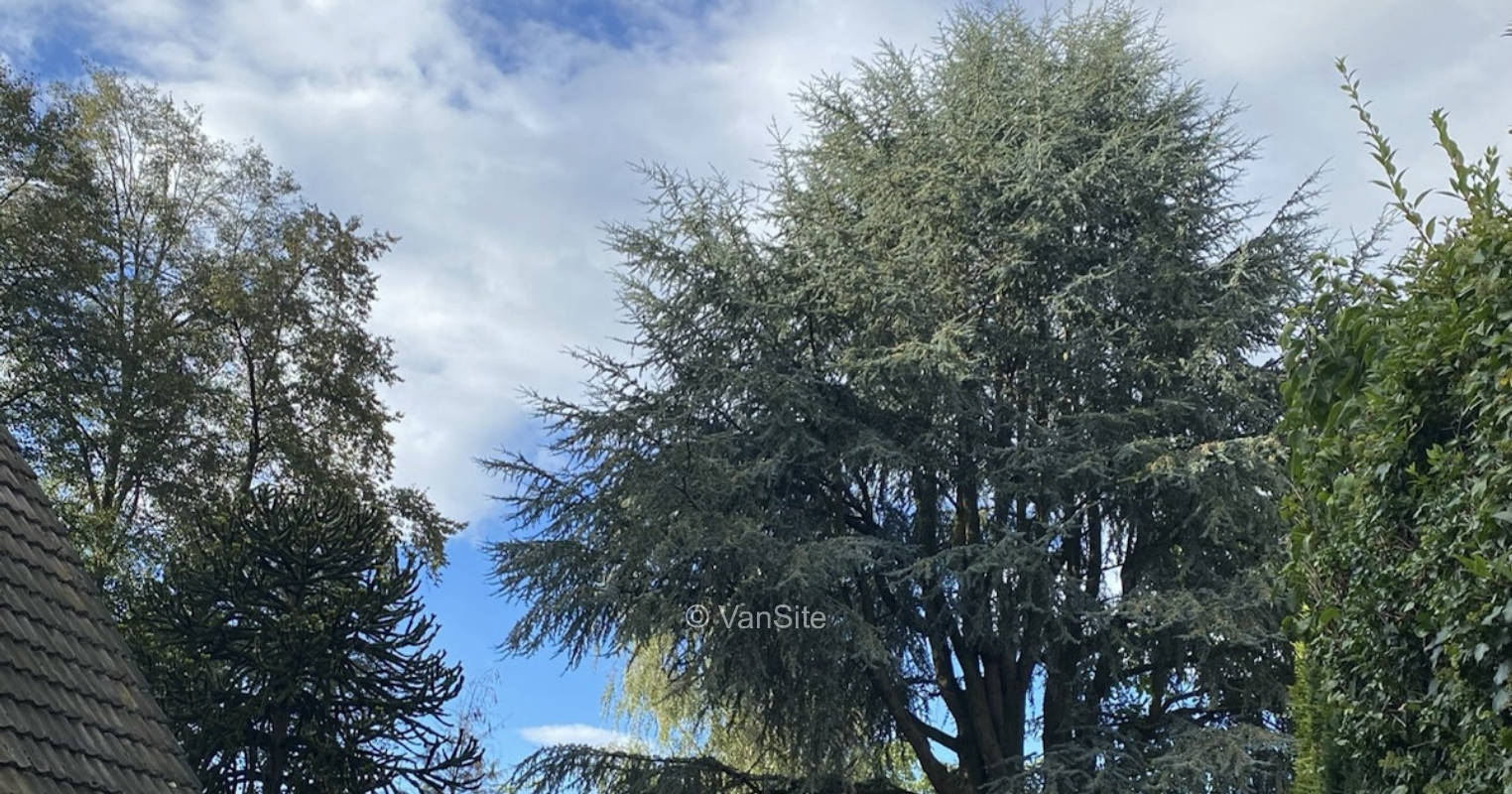 Stellplatz vor der Haustüre