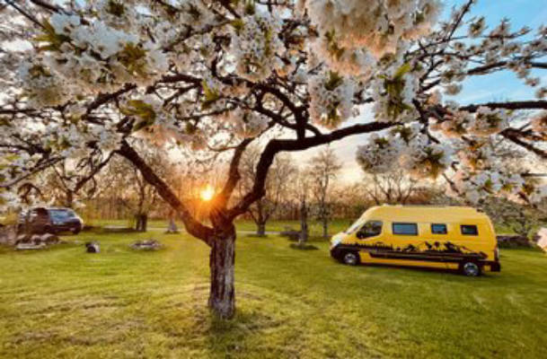 Berginsel Camping 