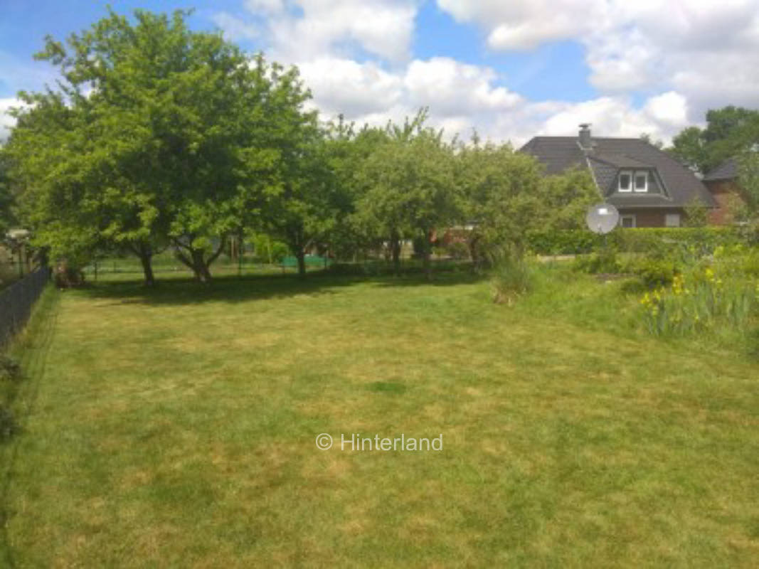 Campsite with pool surrounded by birds singing