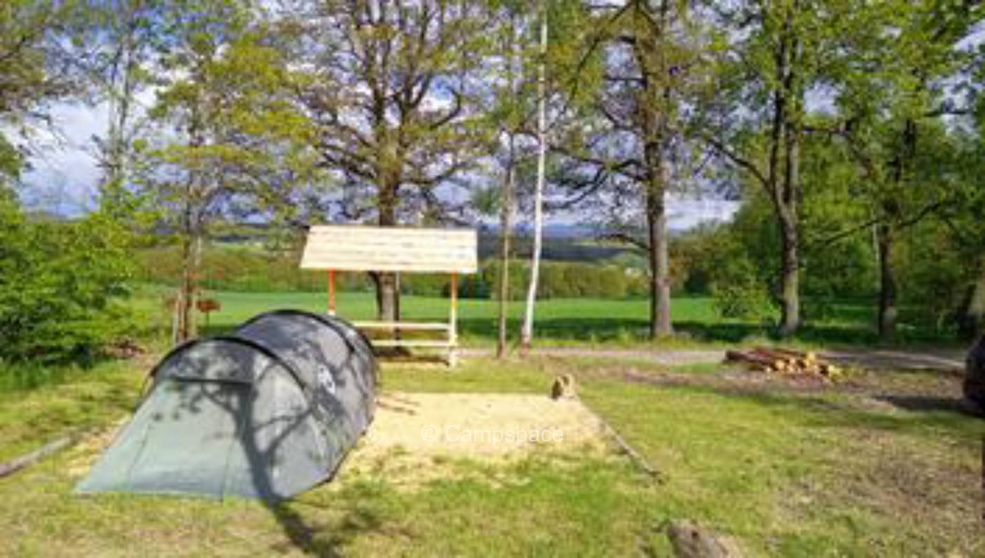 Forest camping with stream murmur