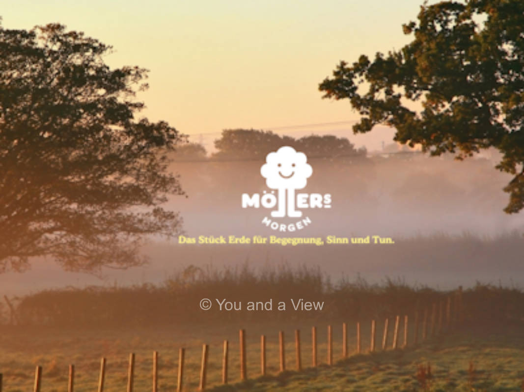 Möllers Morgen