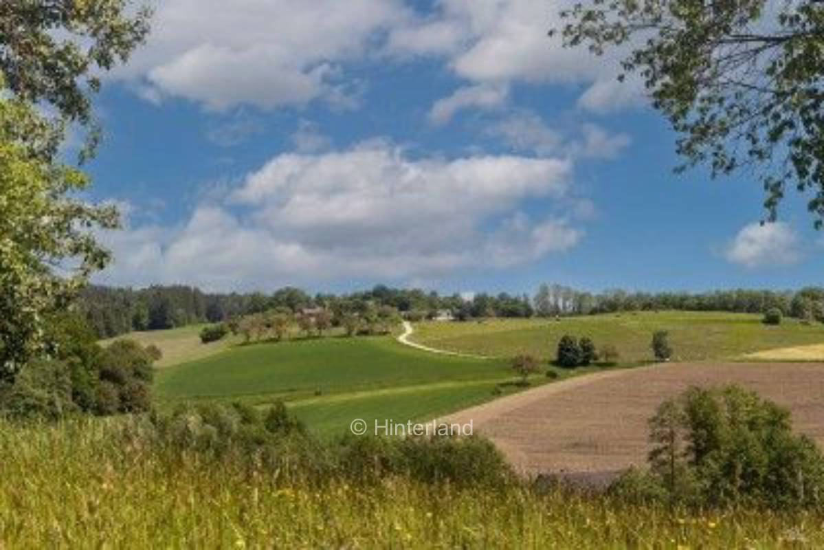 Dem Himmel a Stückerl näher :) 