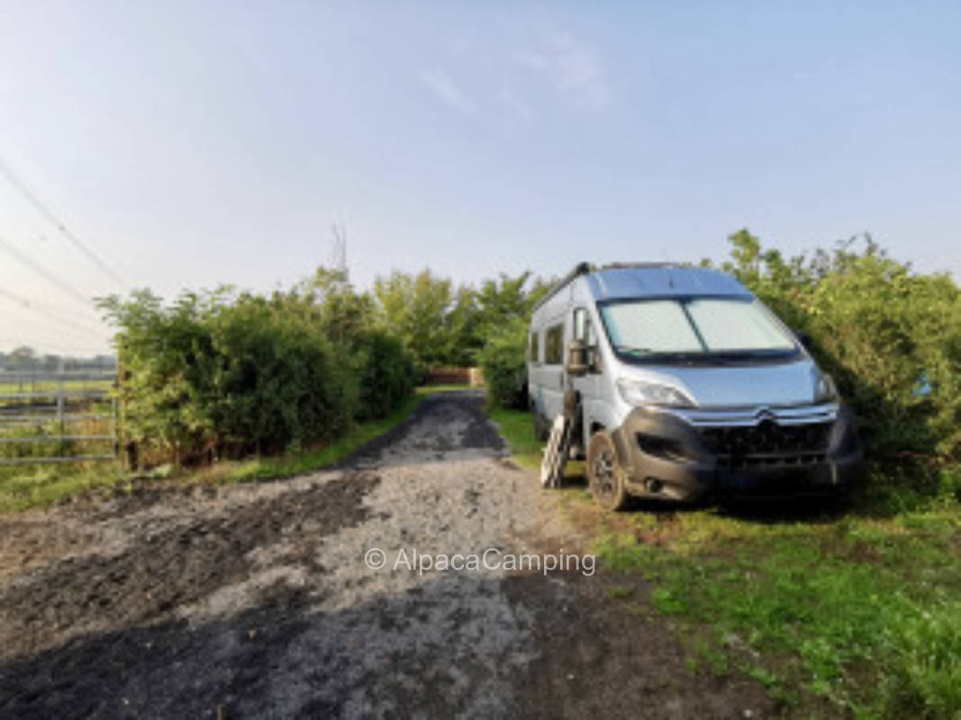 In the yard next to the paddocks