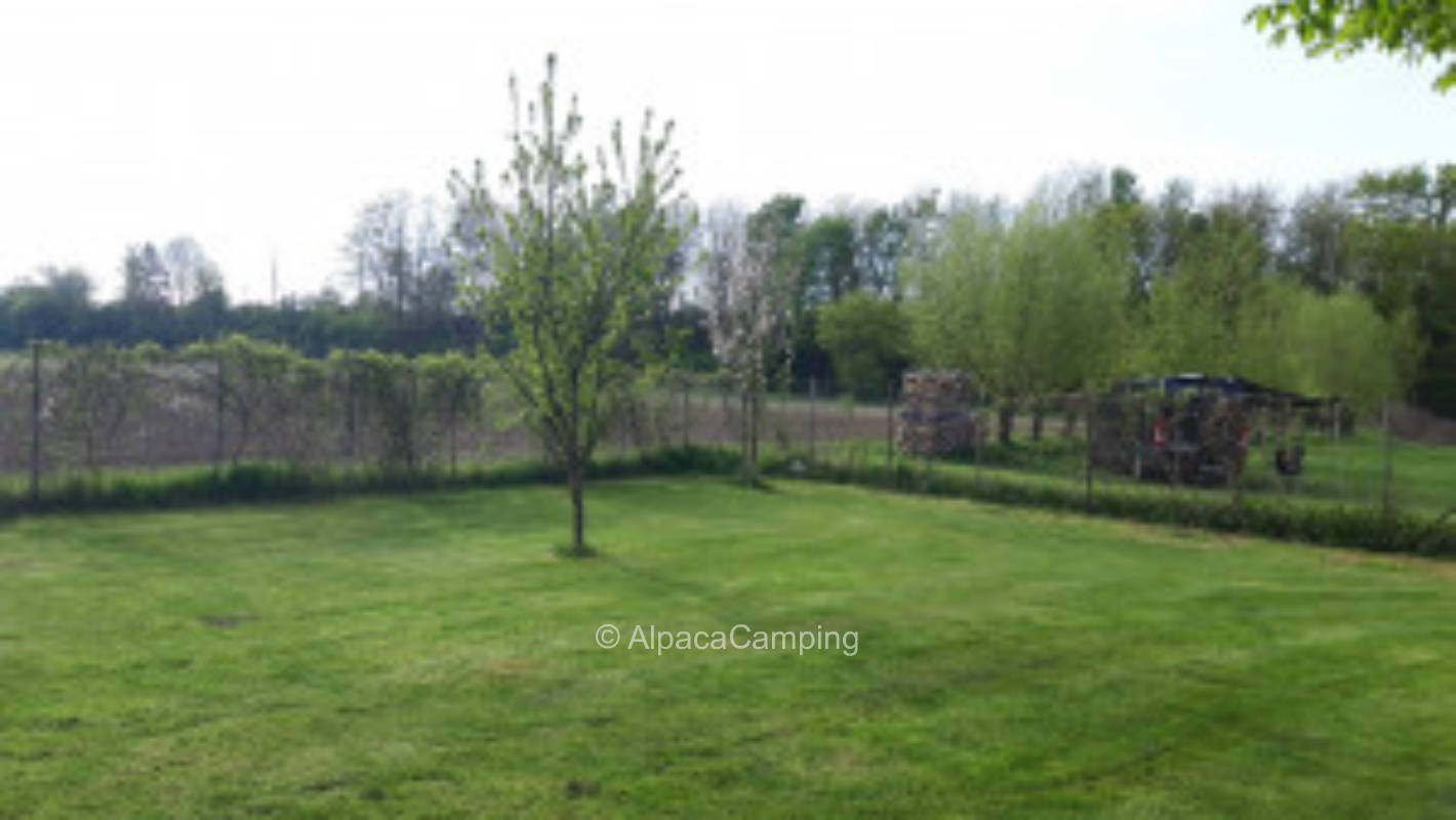Chilling in the green - on almost 400sqm fenced area