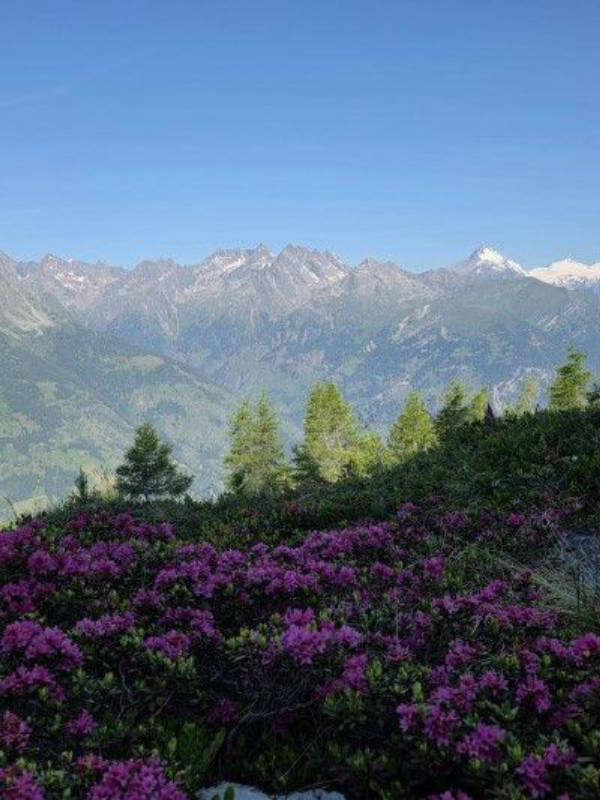 Zelten auf der Hochalm - Natur pur auf über 2000m