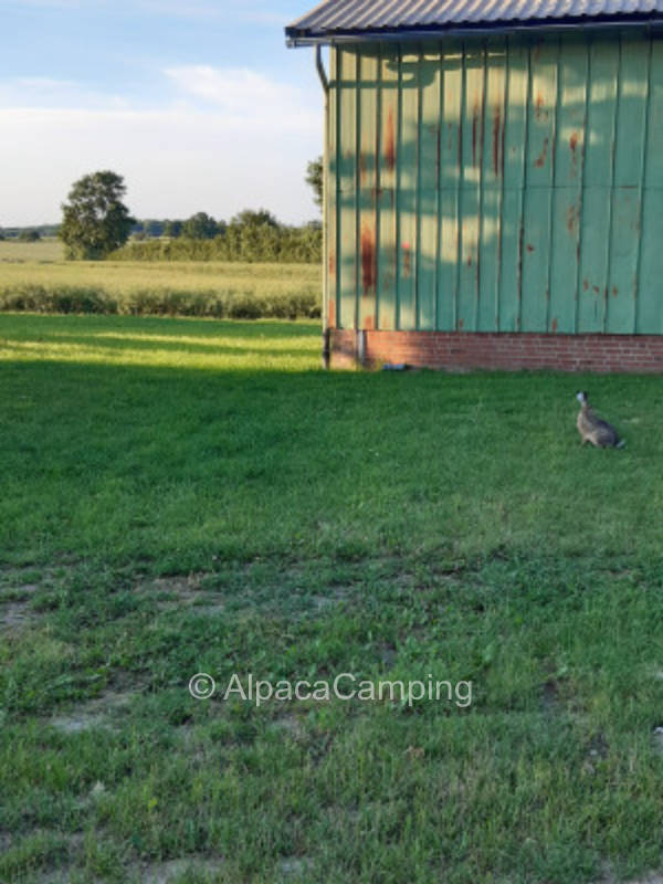 At the gates of Lübeck