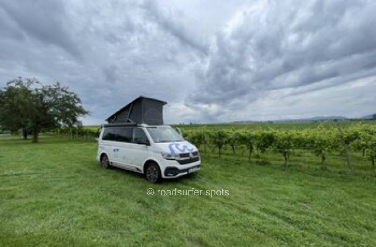 Camping an den Weinreben in der Südpfalz