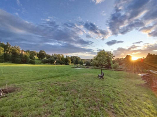 Spot in the Green (Campspace 25537)