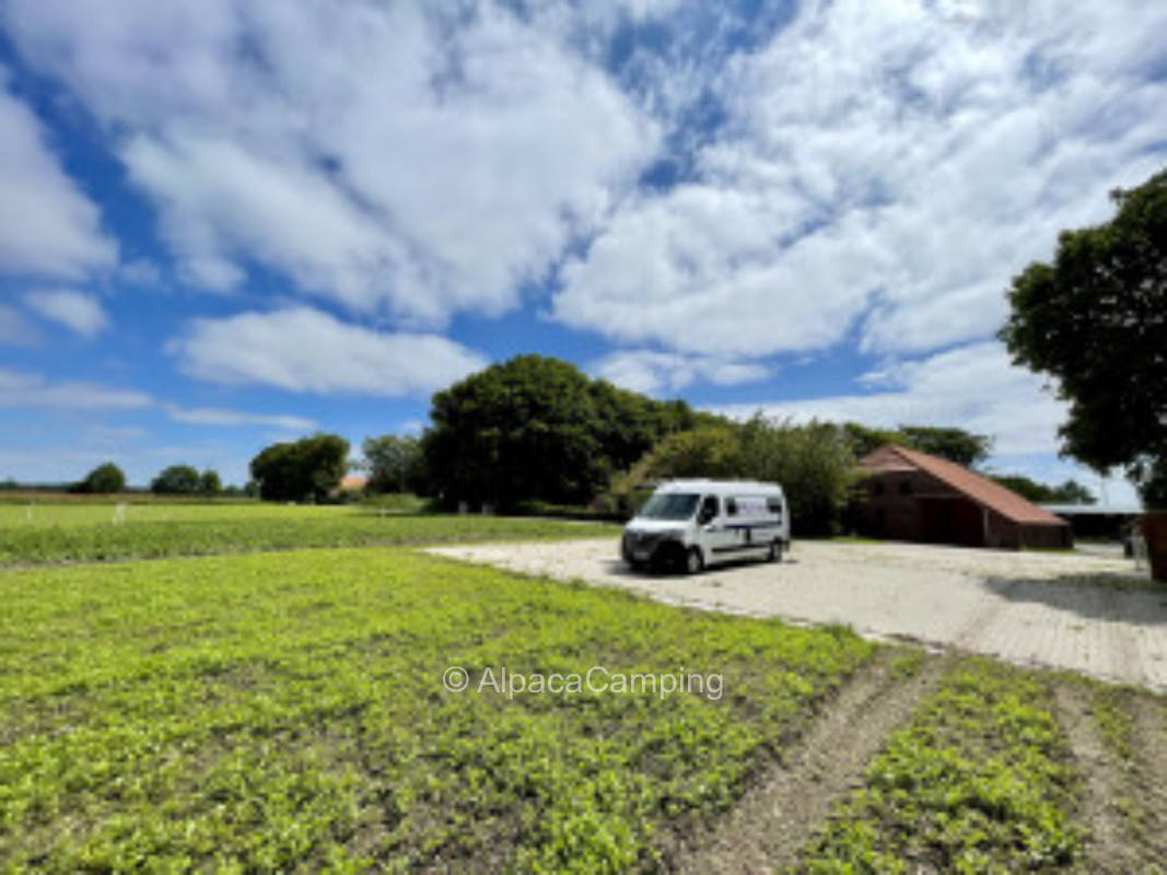 Zum Hühnerglück #3