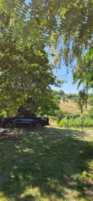 Meadow pitch with panoramic vineyard views