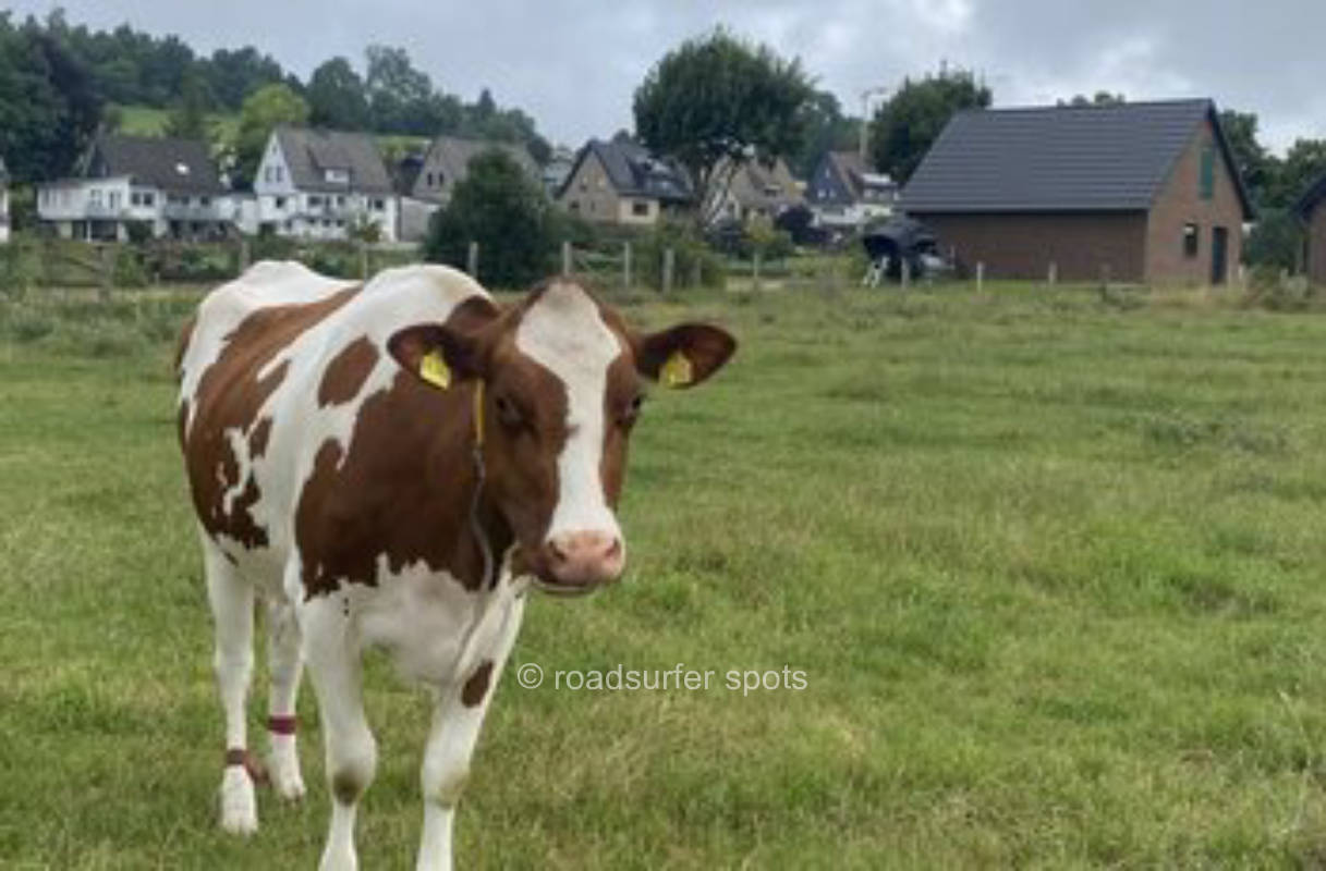 Camping im schönen Sauerland