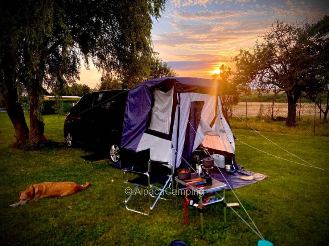 Country air sniff in the beautiful northern Palatinate #1