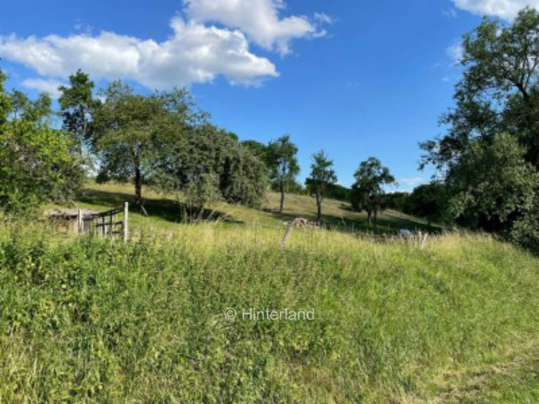 Beautiful place in Franconia with small stream