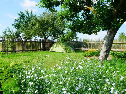 Zeltplatz auf Bauernhof (Campspace 29118)