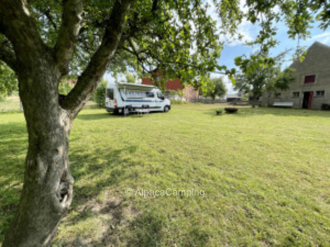 Pasture pitch Old Forge #2