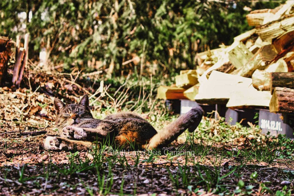 Heidehof Carstens – Am Feld