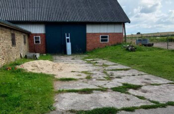 Camping zwischen Pferden und Imkerei