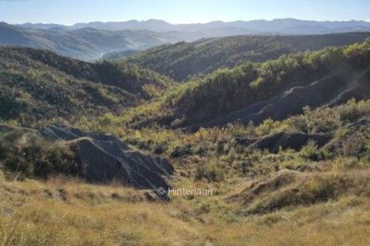Campeggio selvaggio sulle colline vicino a Bologna
