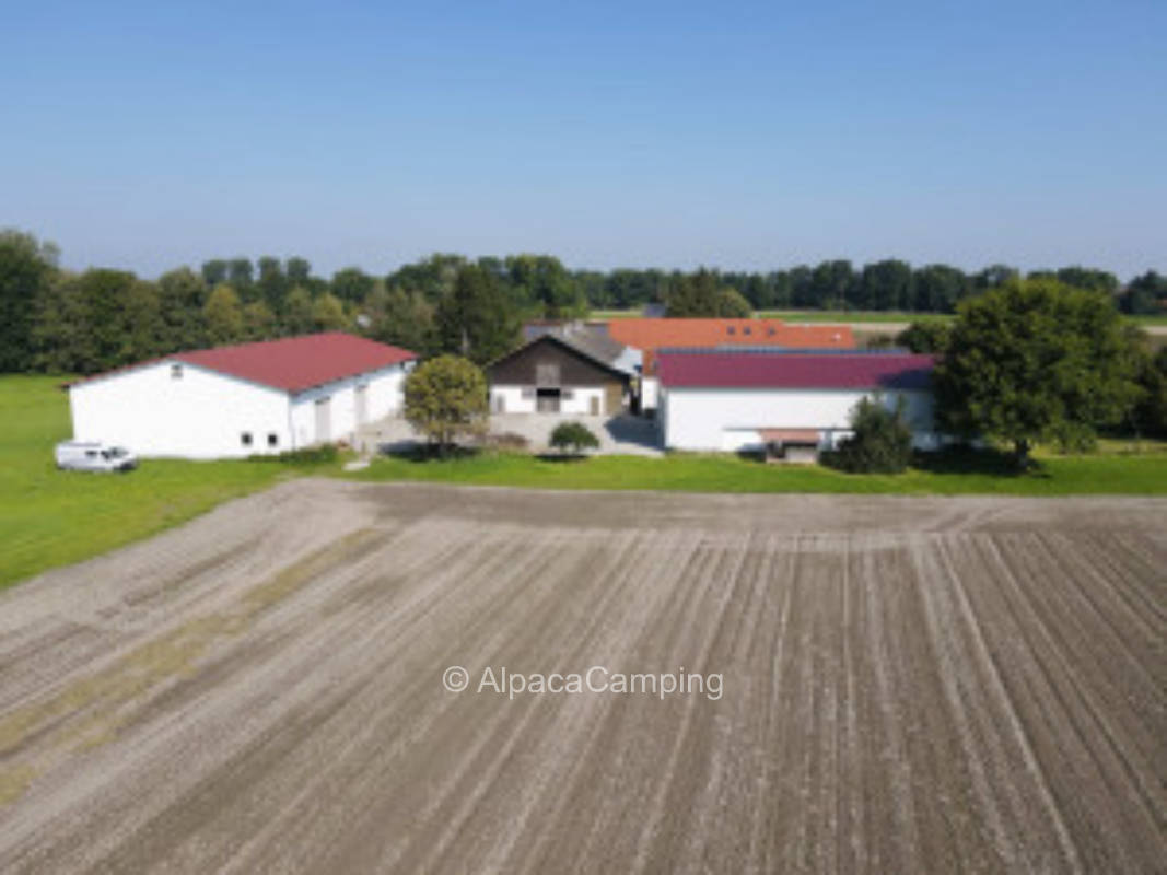 Wiese in ruhiger Lage #3