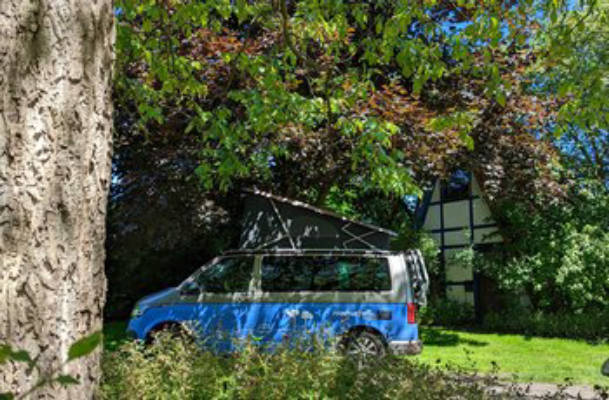 Rauchkate Wiese