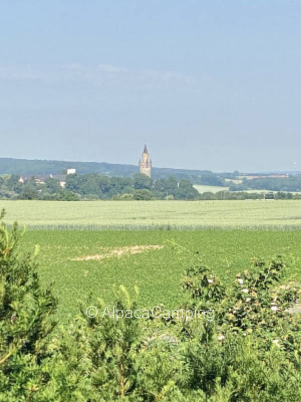 Stellplätzchen auf dem Sonnenhof 2