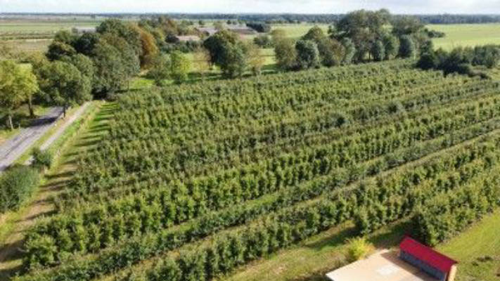 Campen auf unserer Apfelplantage 