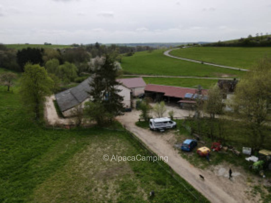 Traumhafte Wiese unter Bäumen am Reiterhof #1, privater Stellplatz