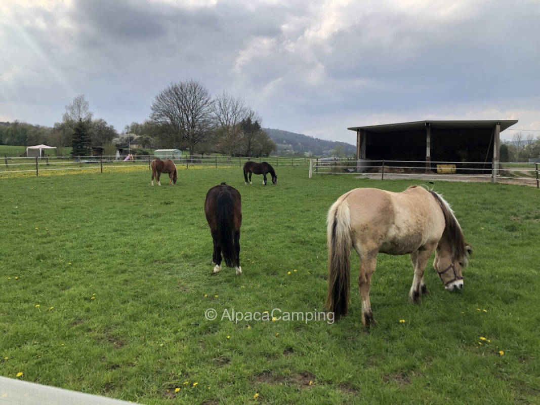 In Lohra on a farm #1