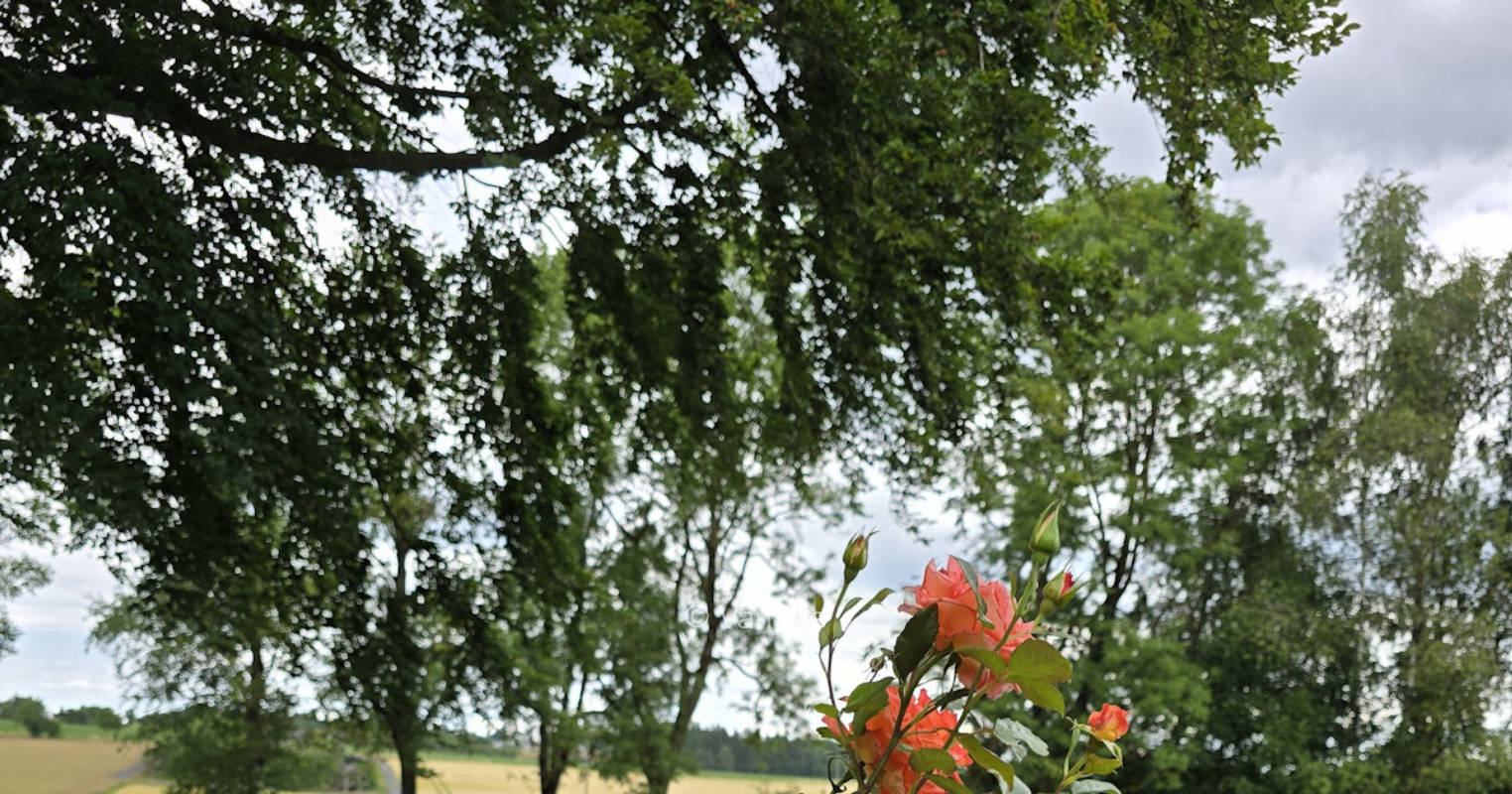 Hof Rosenzauber