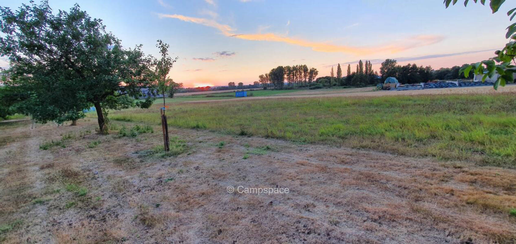 Obstbaumstück mit Blick auf die Amöneburg