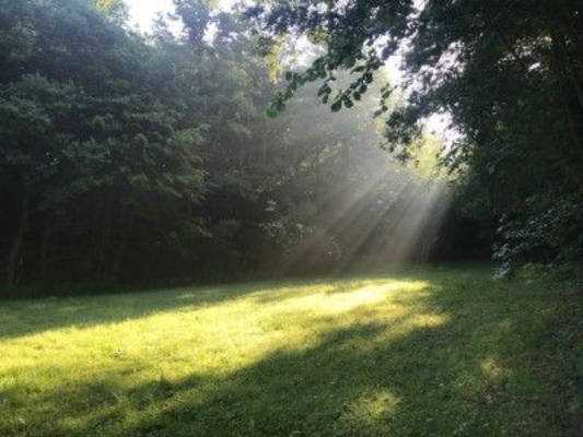 Wiese im Wald im Siebenmühlental