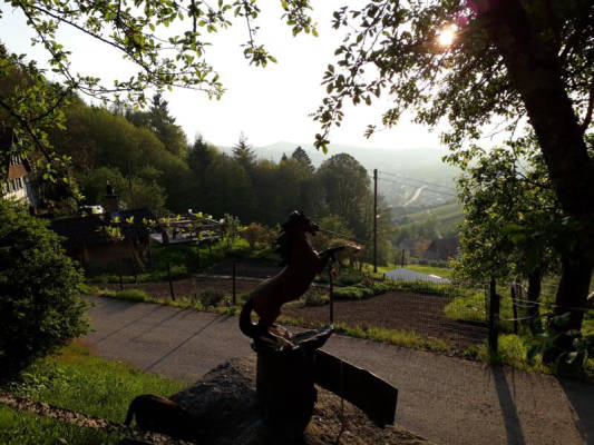 Stellplatz mit Rheinebenen-Aussicht (Campspace 24110)