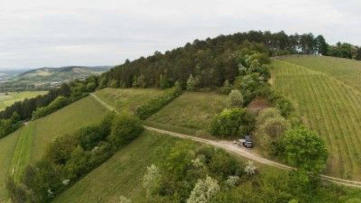Bioweingut an der Burg Saaleck