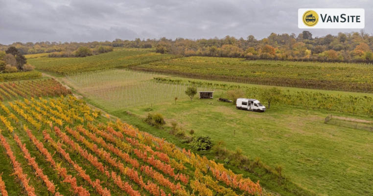 Zwischen Weinbergen und Rheinblick