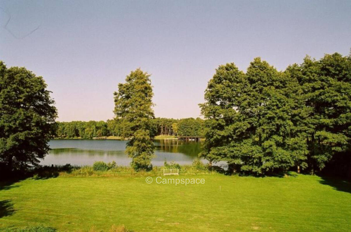 Your dream camping at the forest lake