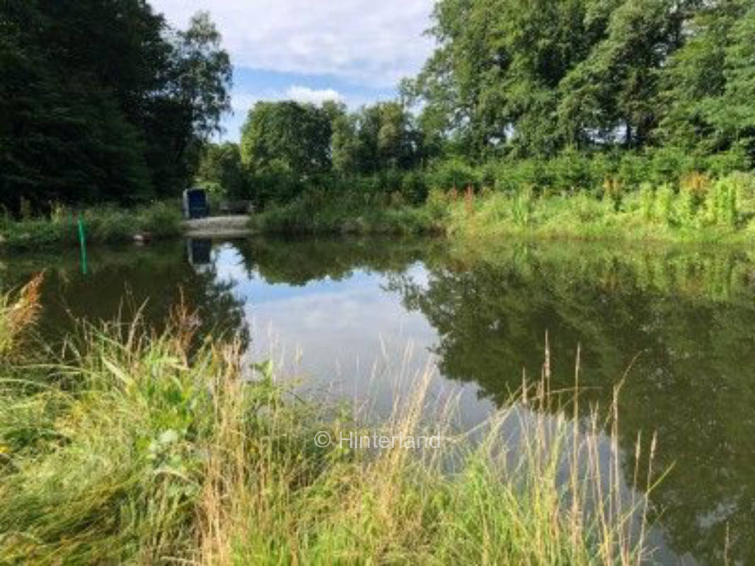 Ruhiger Stellplatz zwischen Feldern und Wäldern