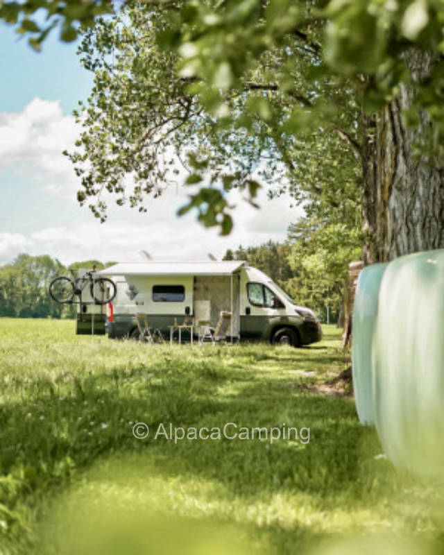 Quiet location close to nature #4