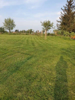 romantische Obstwiese in Klipphausen 