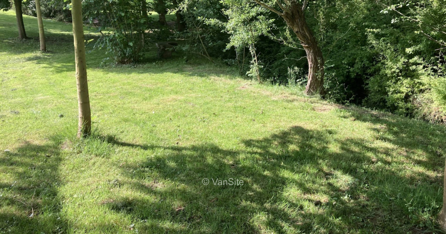 In meinem großen Garten