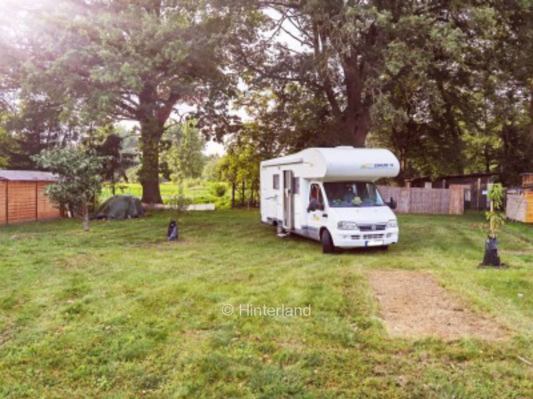 Pure nature at the Bagower Bruch