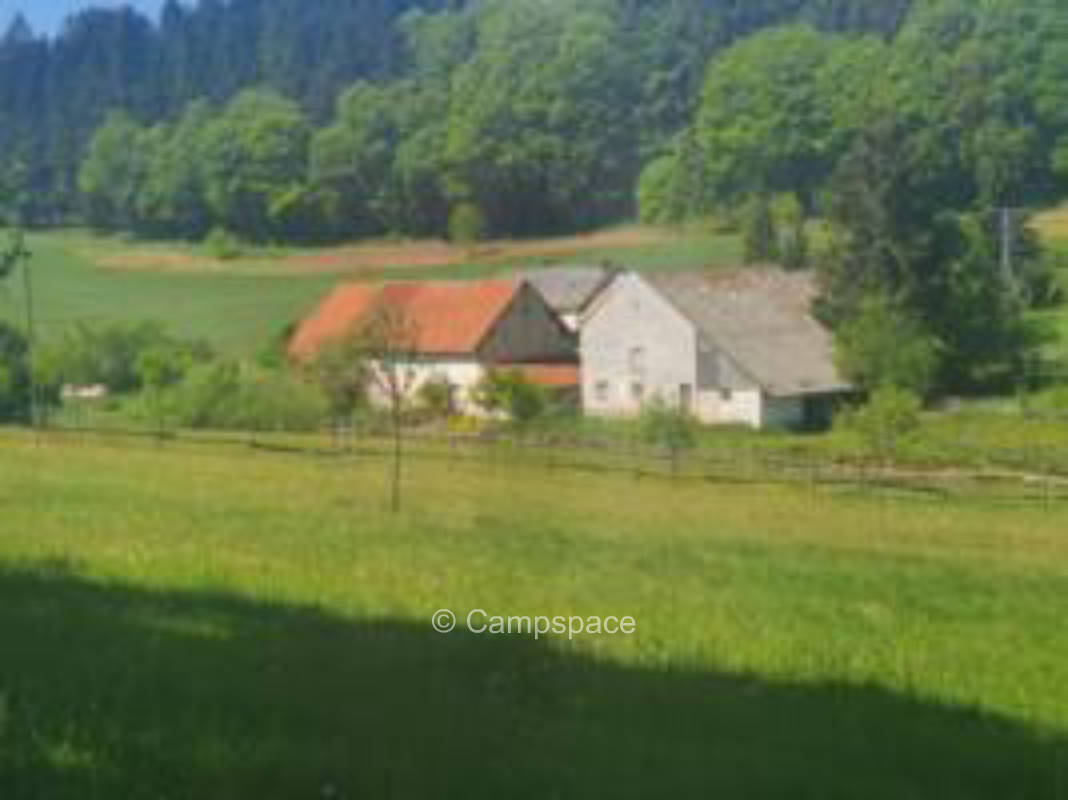 Urige Obstbaumwiese (Campspace 5952)