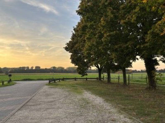 ländlicher Stellplatz am Pferdehof