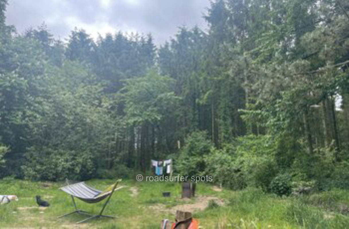 Kleiner Waldplatz in Nordseenähe