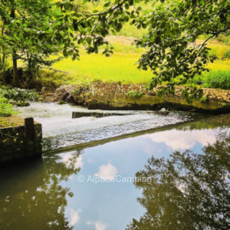 Idyllic meadow site at the river Wern directly at a waterfall #1